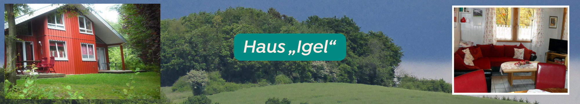 igel